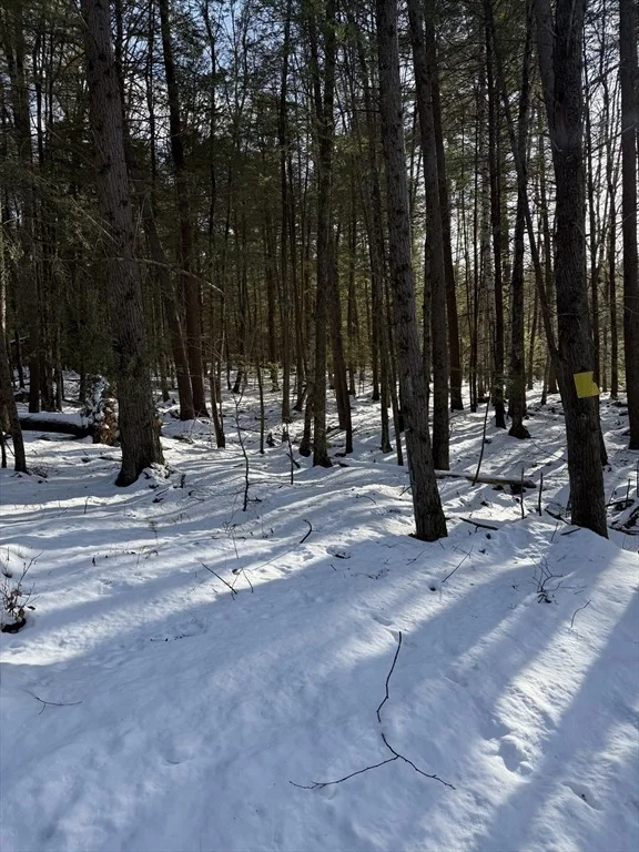 Photo of 0 Four Mile Brook Rd