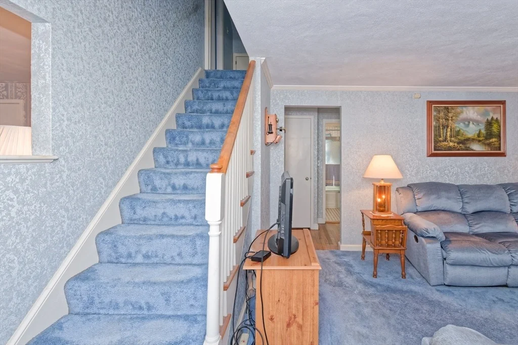 Photo of 17 Blackman Rd