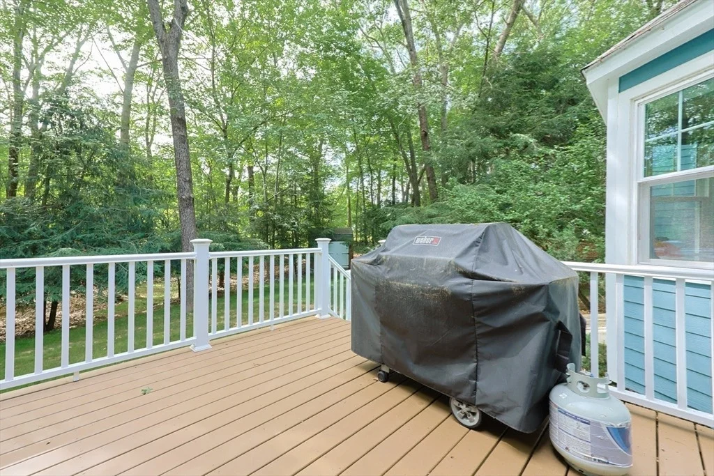 Photo of 233 Willowgate Rise