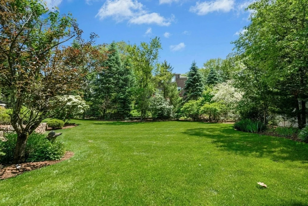 Photo of 11 Scotch Pine Cir
