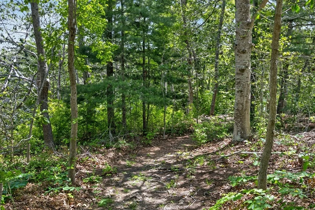 Photo of 20 Hirsch