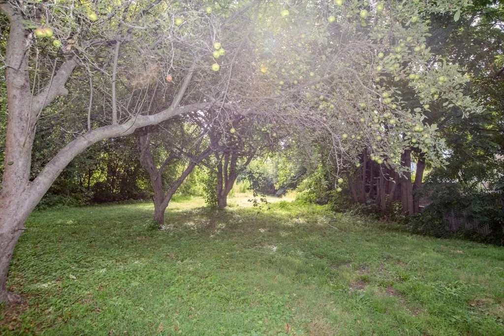 Photo of 99 Jones St