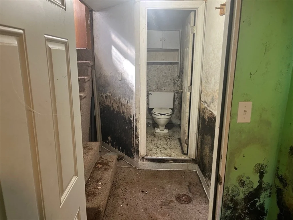Photo of 7-B Stevens St