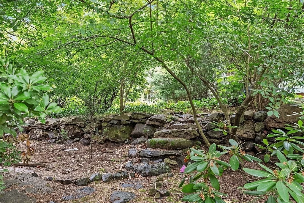 Photo of 14 Upland Road