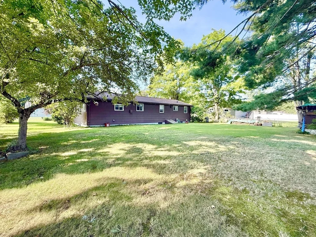Photo of 31 Pomeroy St