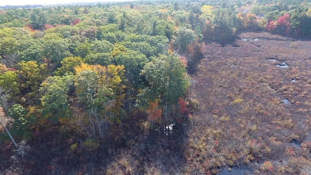Photo of Lot 3 Silver Glen Road
