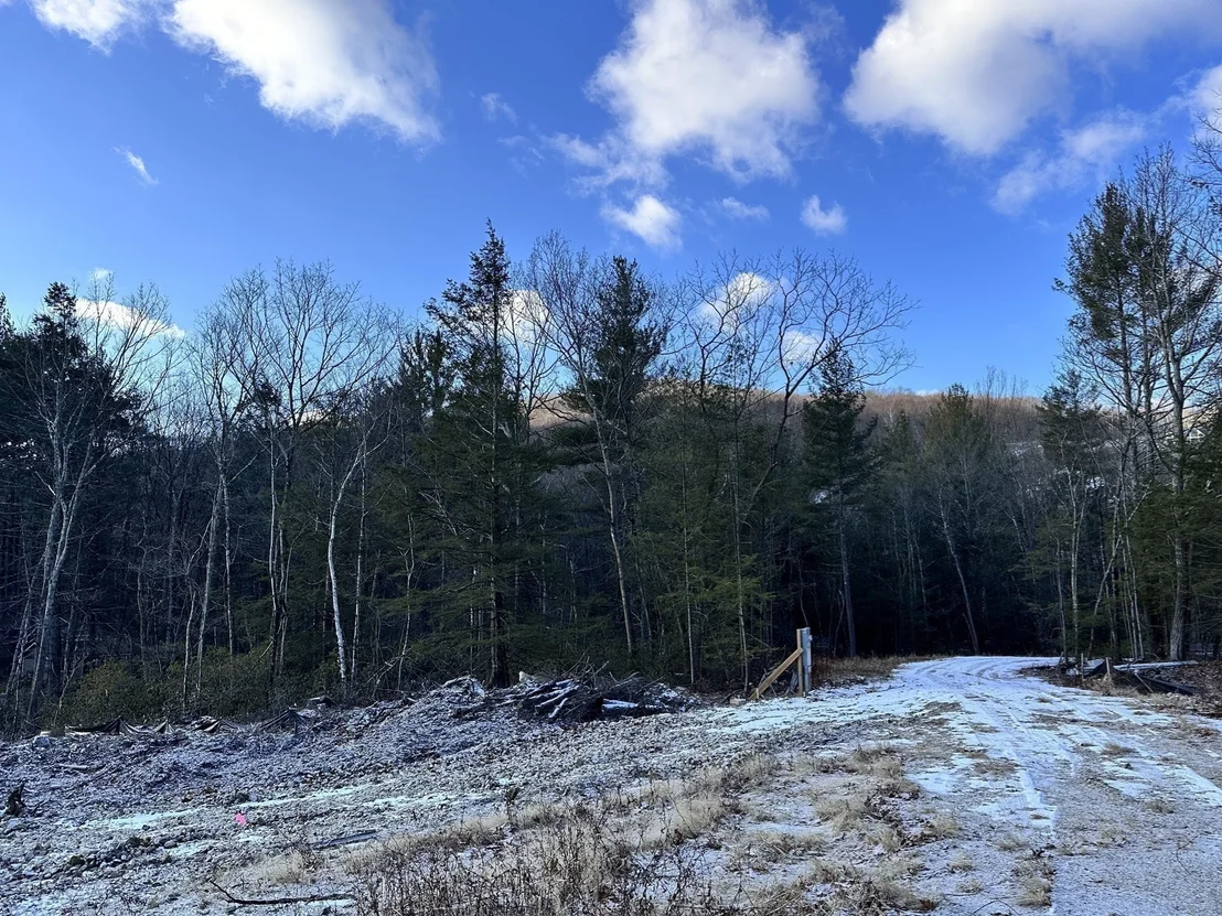 Photo of 342 Southampton Rd