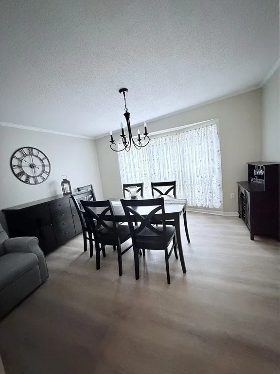 Photo of 16 Kylee Dr