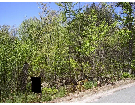 Photo of lot 3 Oak Street