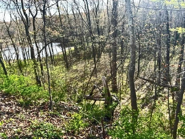 Photo of Lot 3 Gould Road