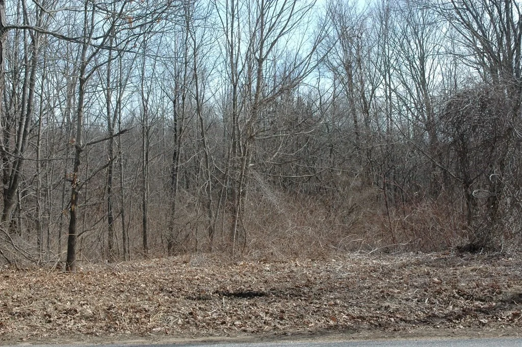 Photo of 56 Old E Brookfield Rd