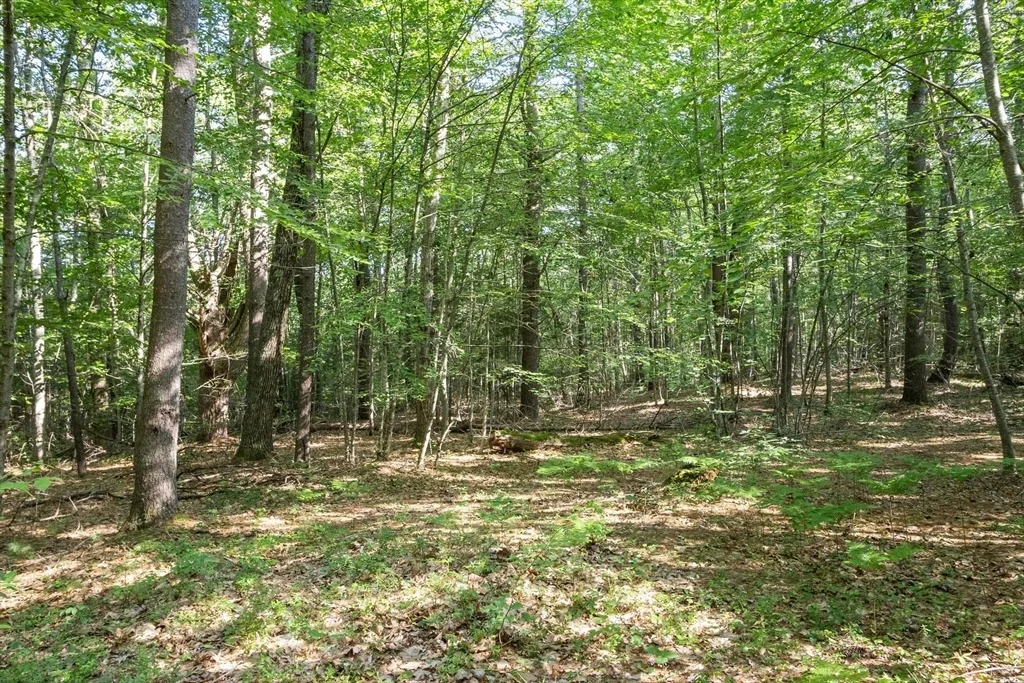 Photo of 0 Ward Hill Rd