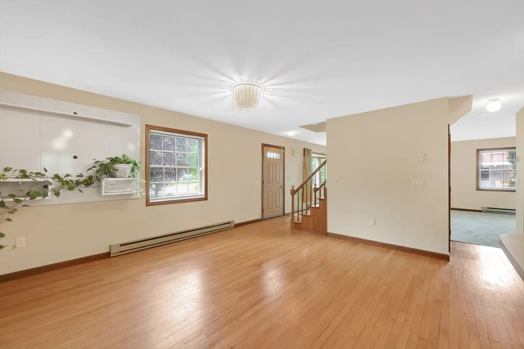 Photo of 24 Sylvia St