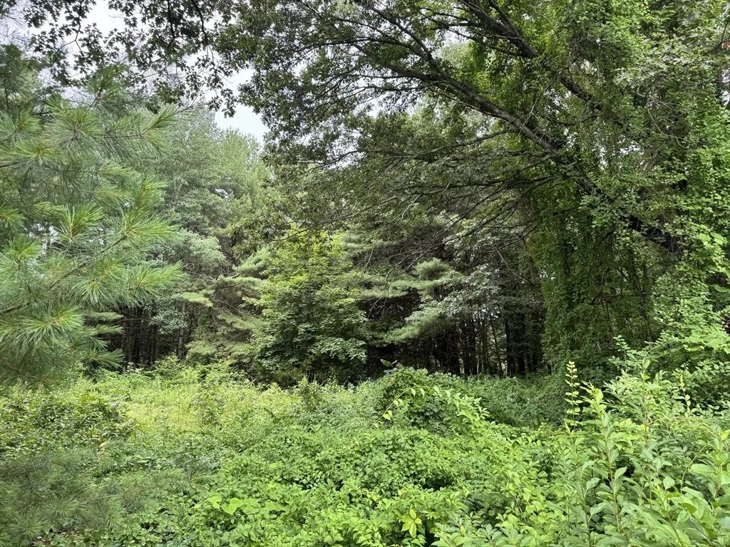 Photo of 22 Haggetts Pond Rd