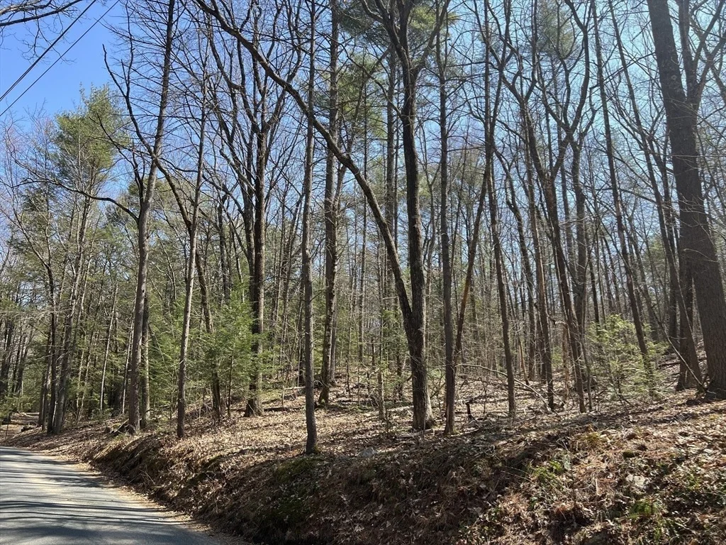 Photo of Lot 2, January Hills Road