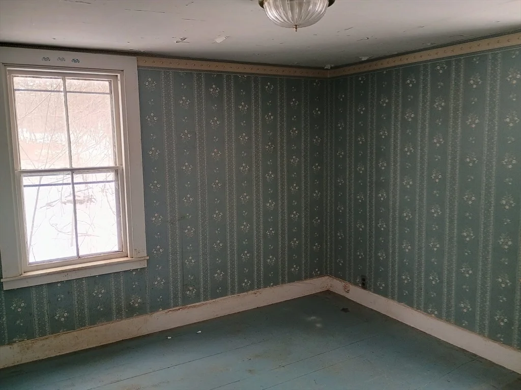 Photo of 9 Olive Street