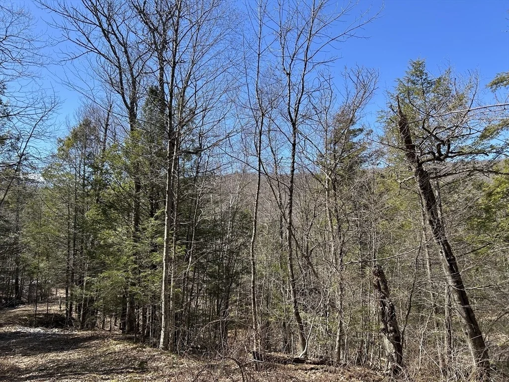 Photo of 71 Dodge Rd