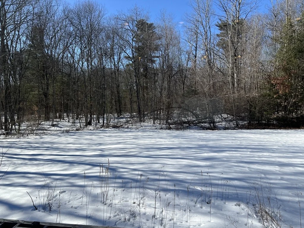 Photo of 12 Grandview Road