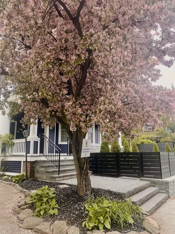 Photo of 38 Fuller Street