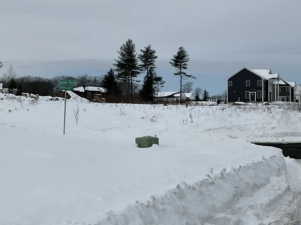 Photo of Lot 88 Turning Leaf/Equinox Pass
