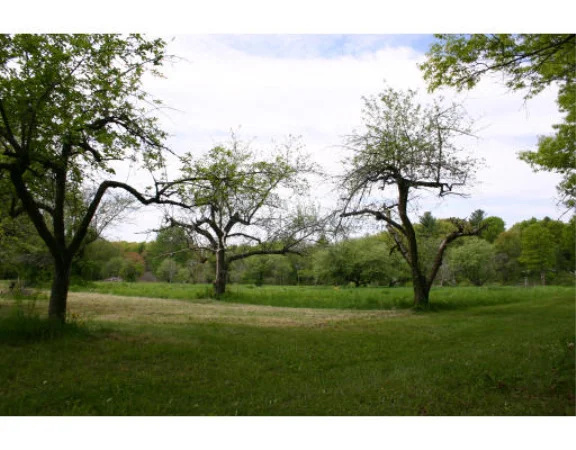 Photo of 361 Ayer Rd