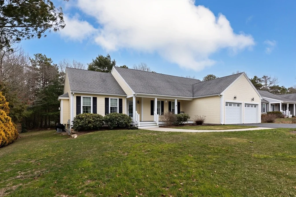 Photo of 40 Mirasol