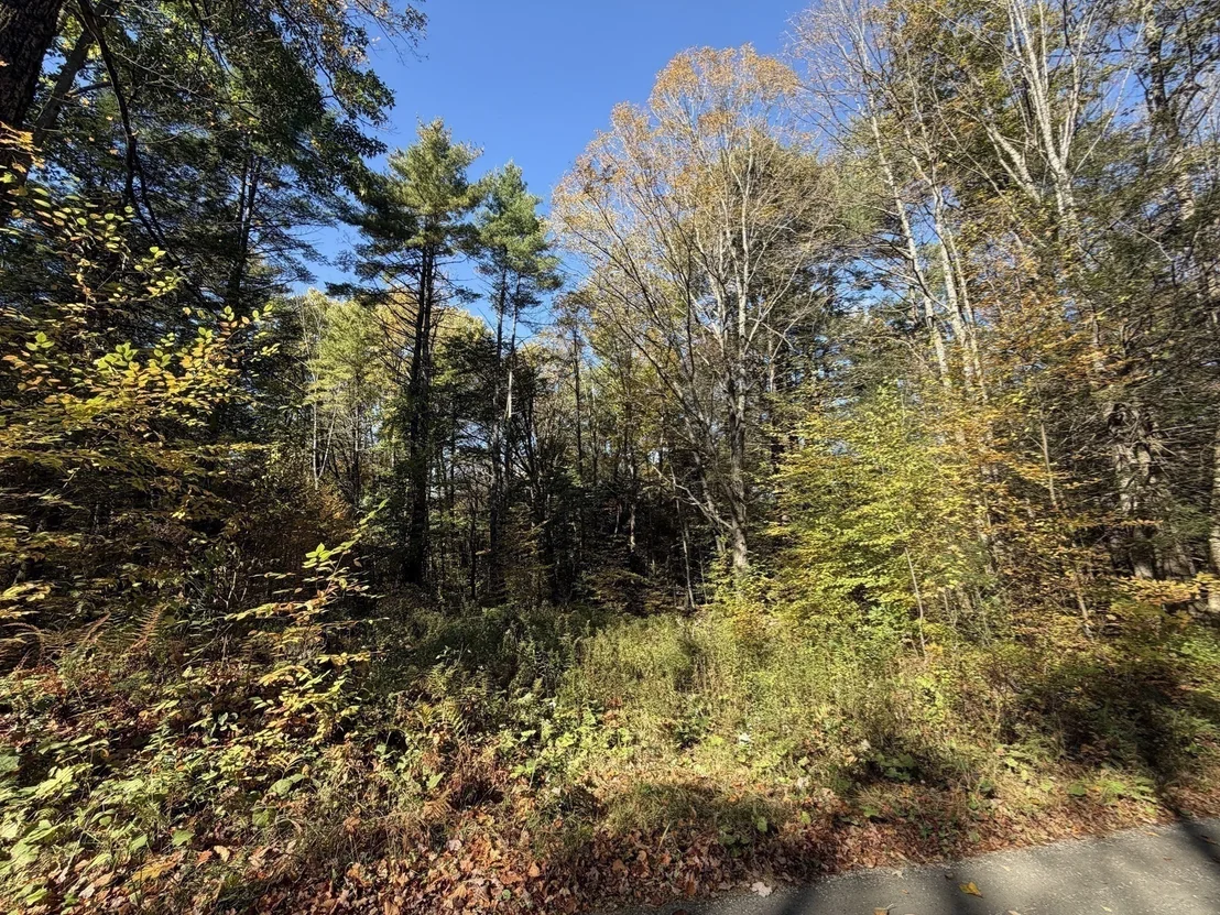 Photo of 232 River Rd