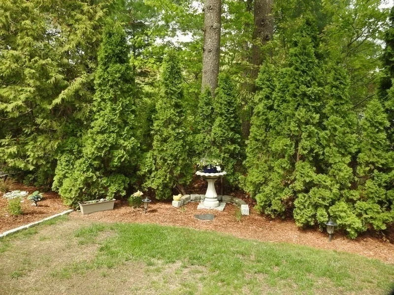 Photo of Unit 191 at 191 Pineviewter