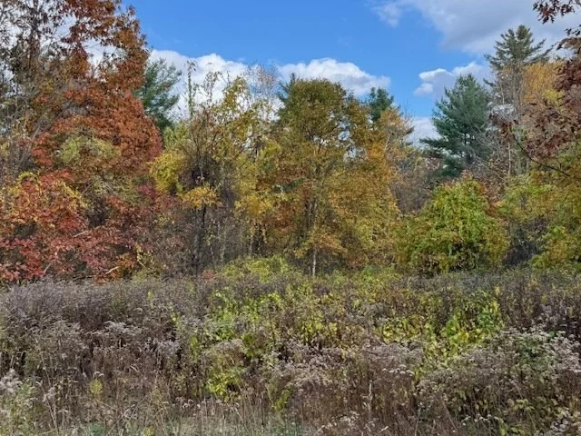 Photo of 151 Wilker Road