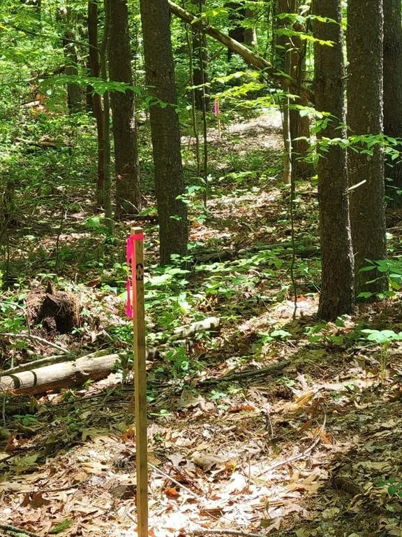 Photo of Lot 5 Daniels Rd