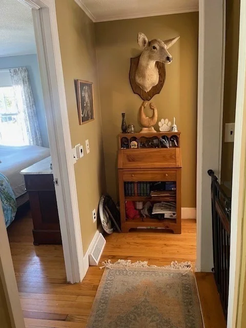 Photo of 374 Wilbraham Road