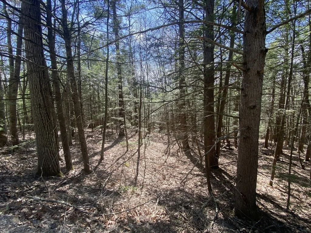 Photo of Lot 23-25 Hawk Hill Rd