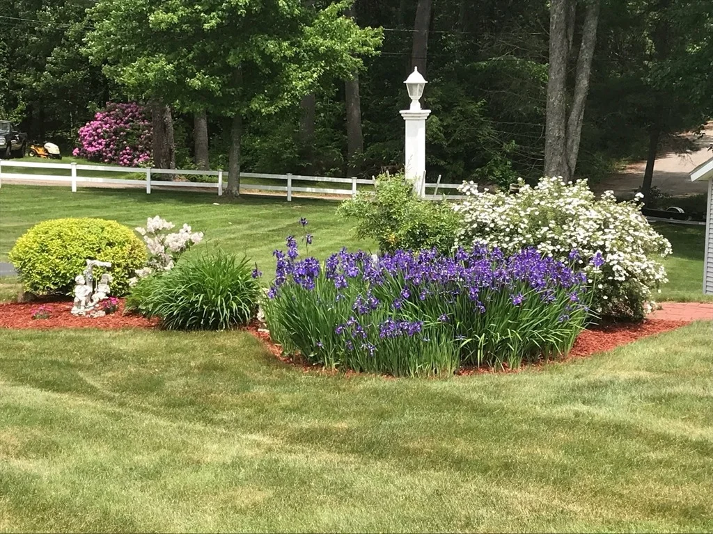Photo of 43 Lambs Grove