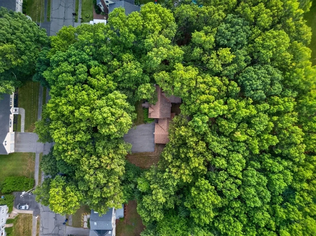 Photo of 9 Spruce Rd