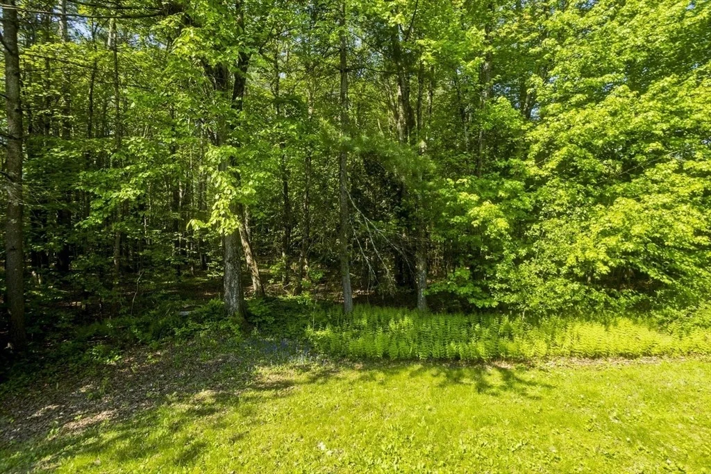 Photo of 6 Pine Wood Dr