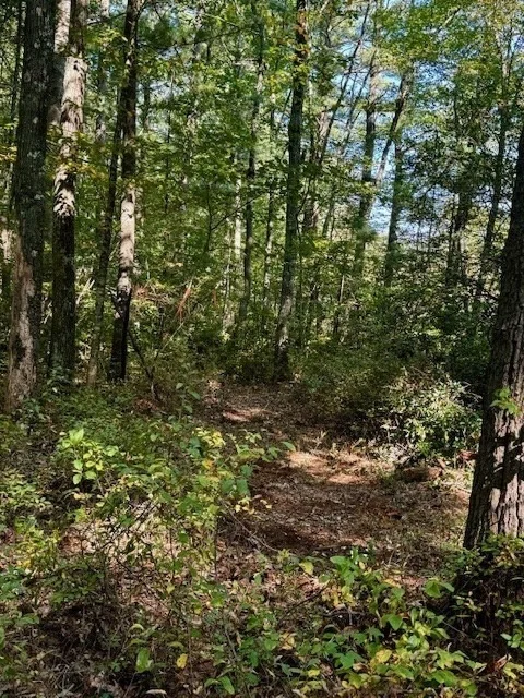 Photo of Lot 2 Nw Main Street