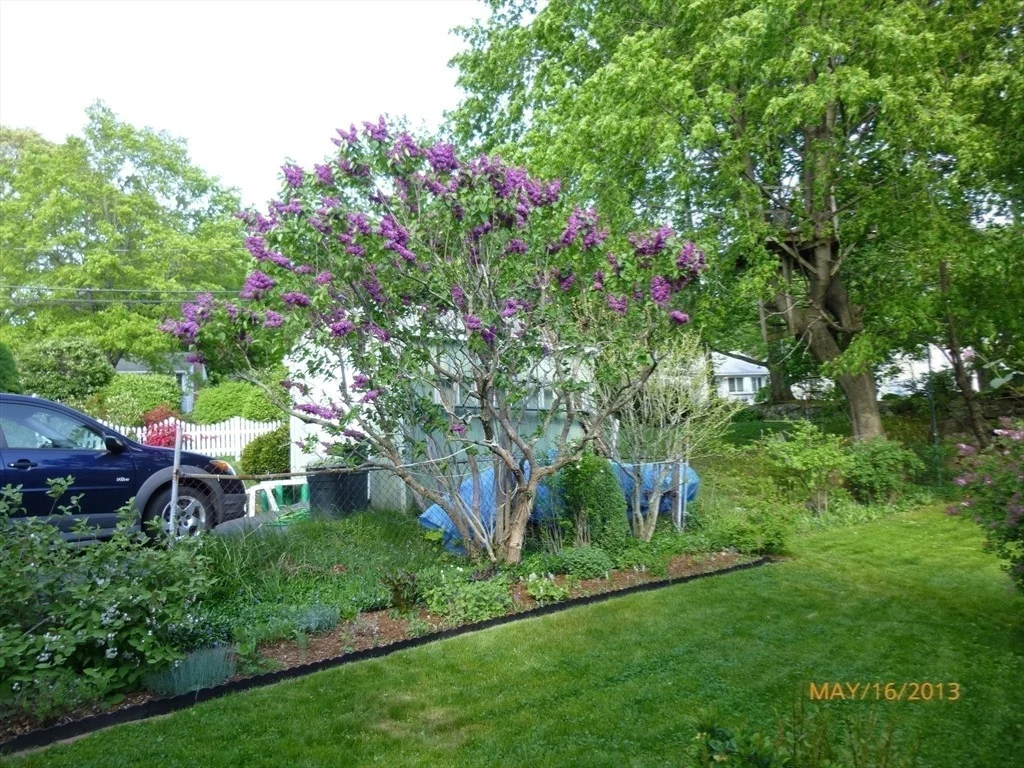 Photo of 10 Dow Ave