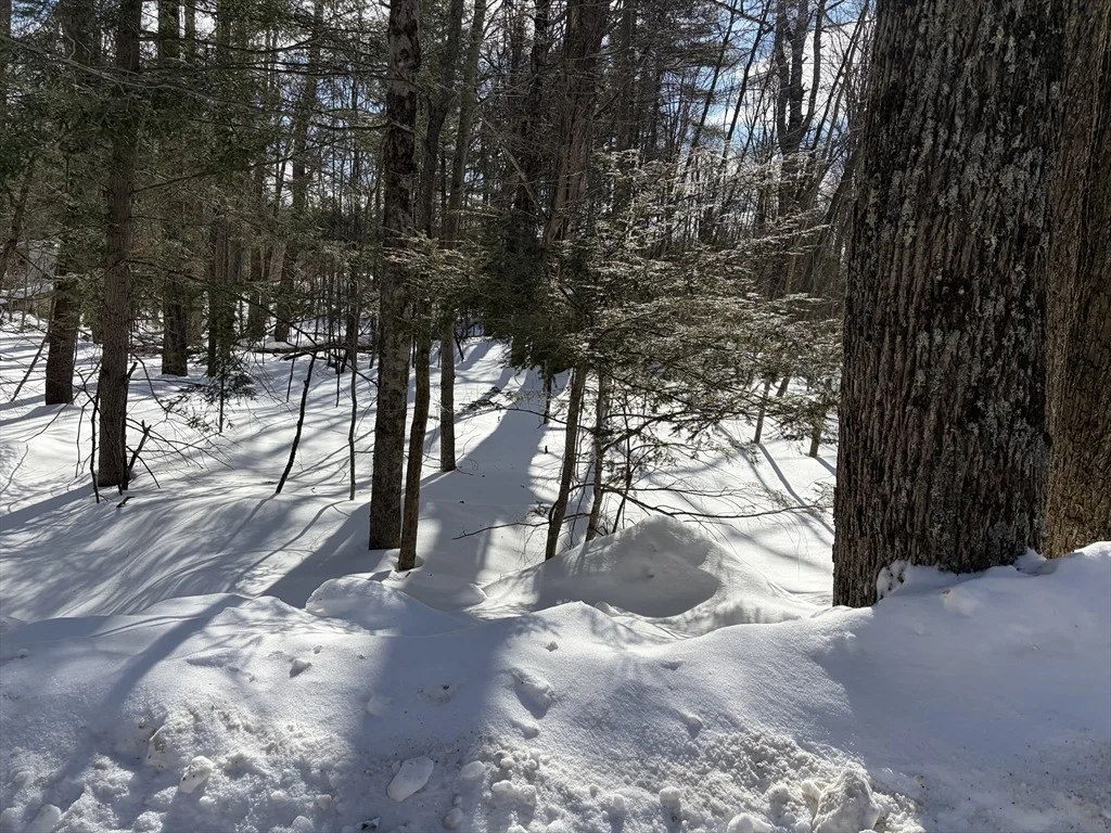 Photo of 0 Fuller Rd