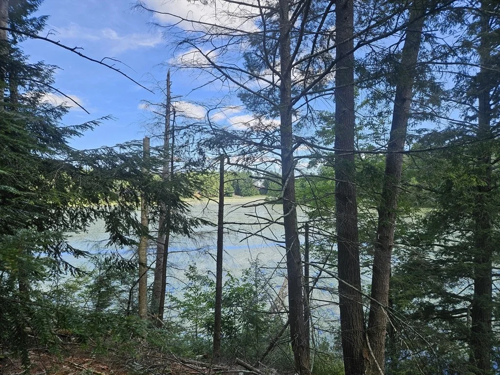 Photo of 0 Branch Bridge Rd