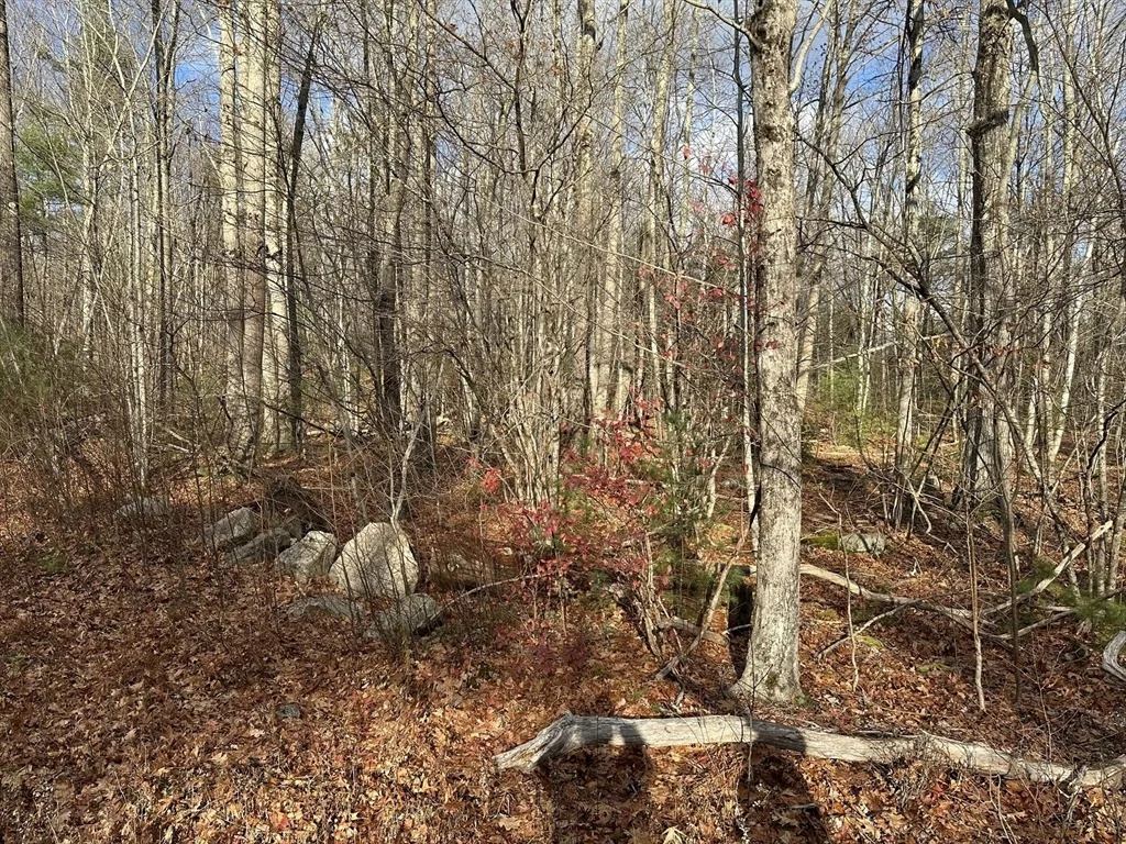 Photo of Lot 2 Jourdan Road
