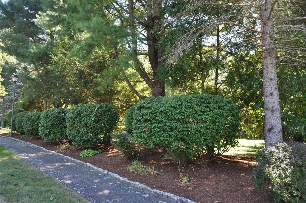 Photo of 8 James Ave