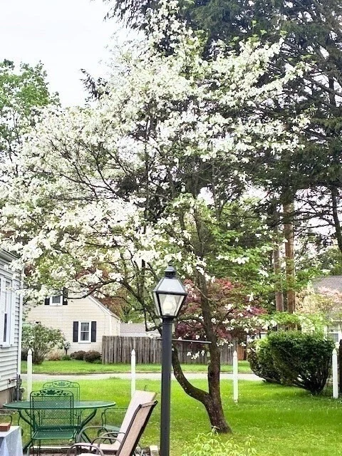 Photo of 90 Roanoke Rd