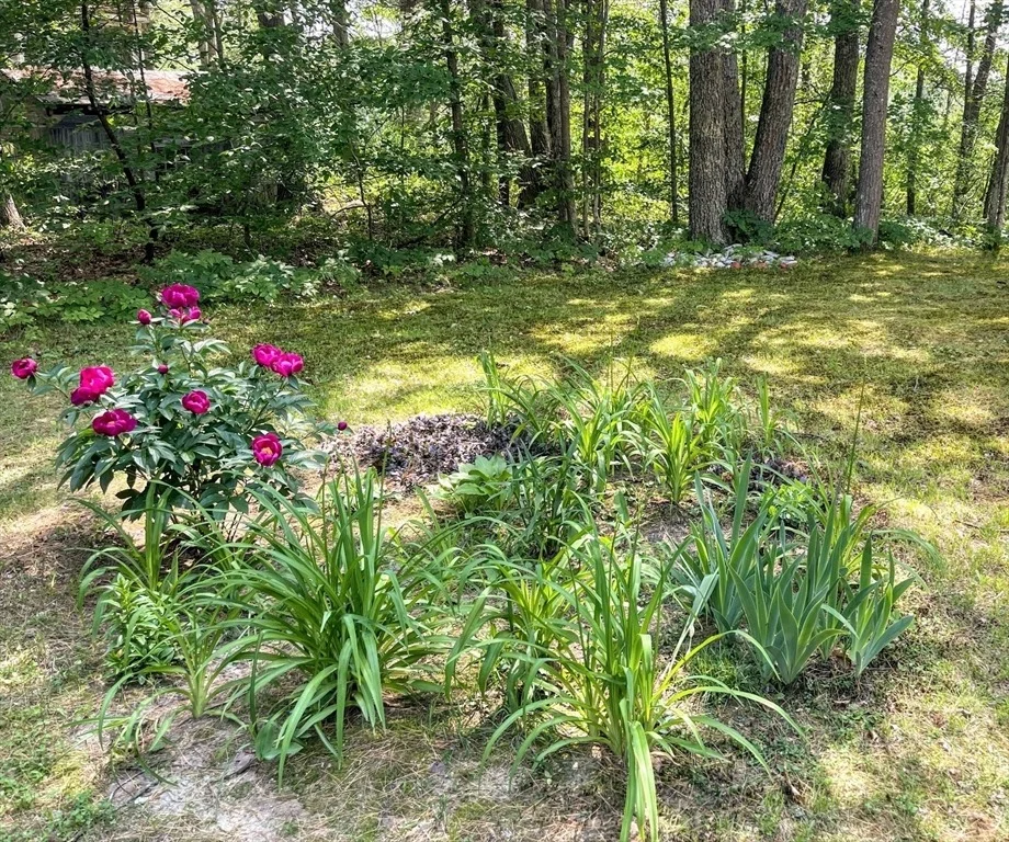Photo of 5 Maguire Rd