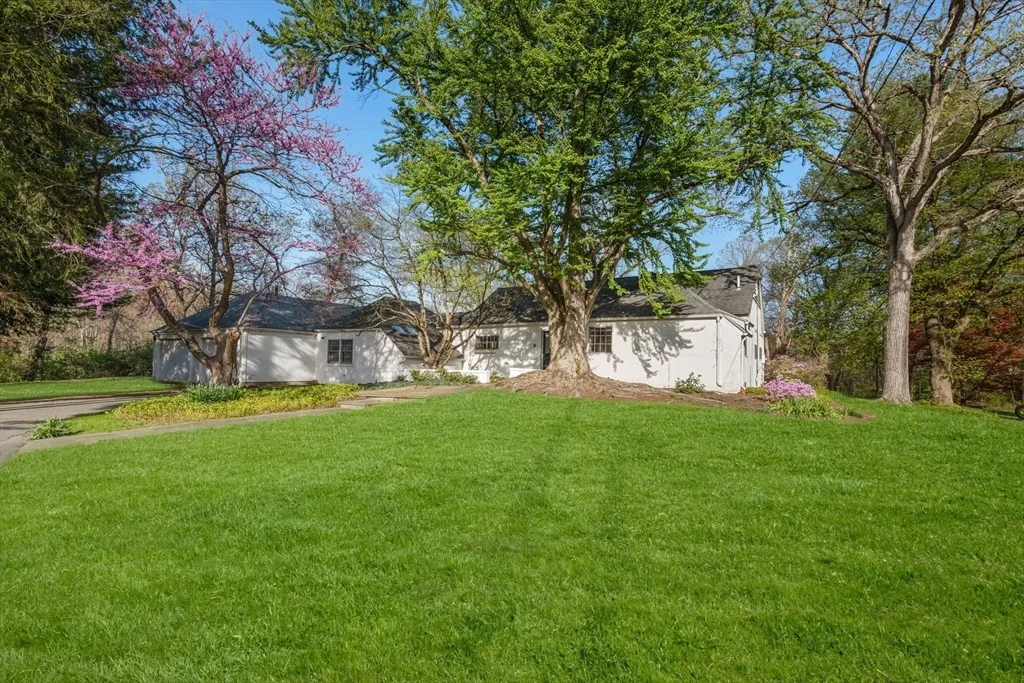 Photo of 12 Granison Rd
