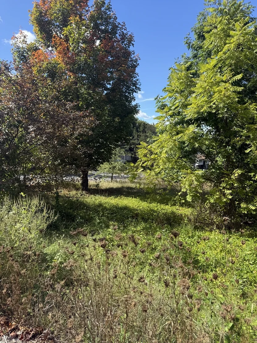 Photo of 0 Stevens St