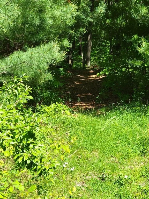 Photo of Lot 5 Daniels Rd