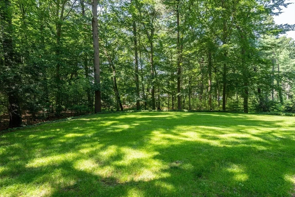 Photo of 40 Shadow Oak