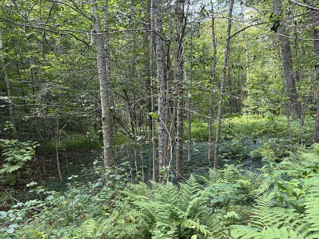 Photo of 139 Taylor Brook Rd