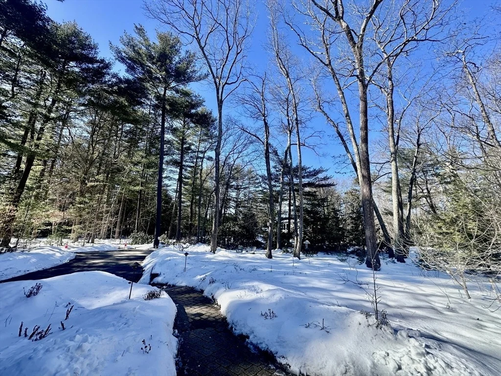 Photo of 25 Raynor Rd