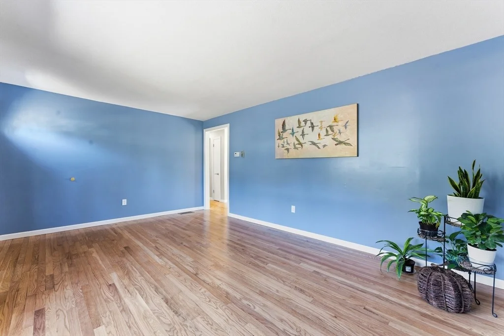 Photo of 22 Phelps St